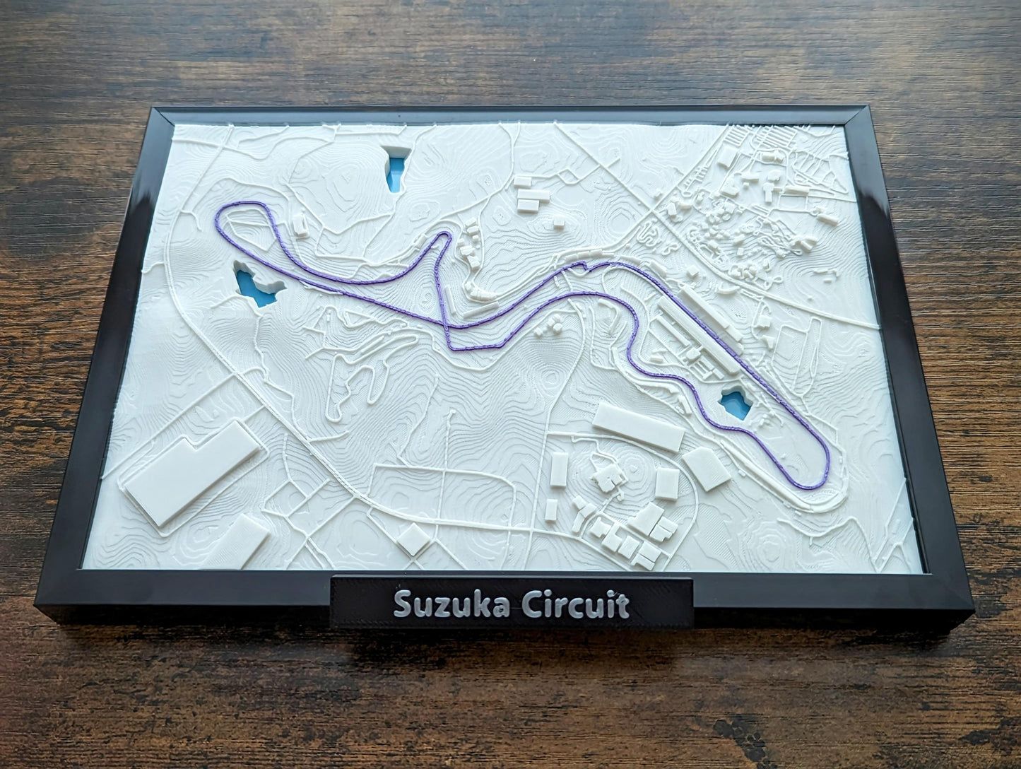 F1 3D Miniature Tracks 5x7"