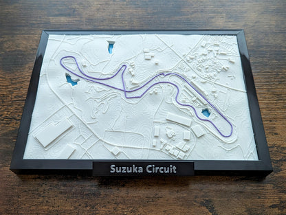 F1 3D Miniature Tracks 5x7"